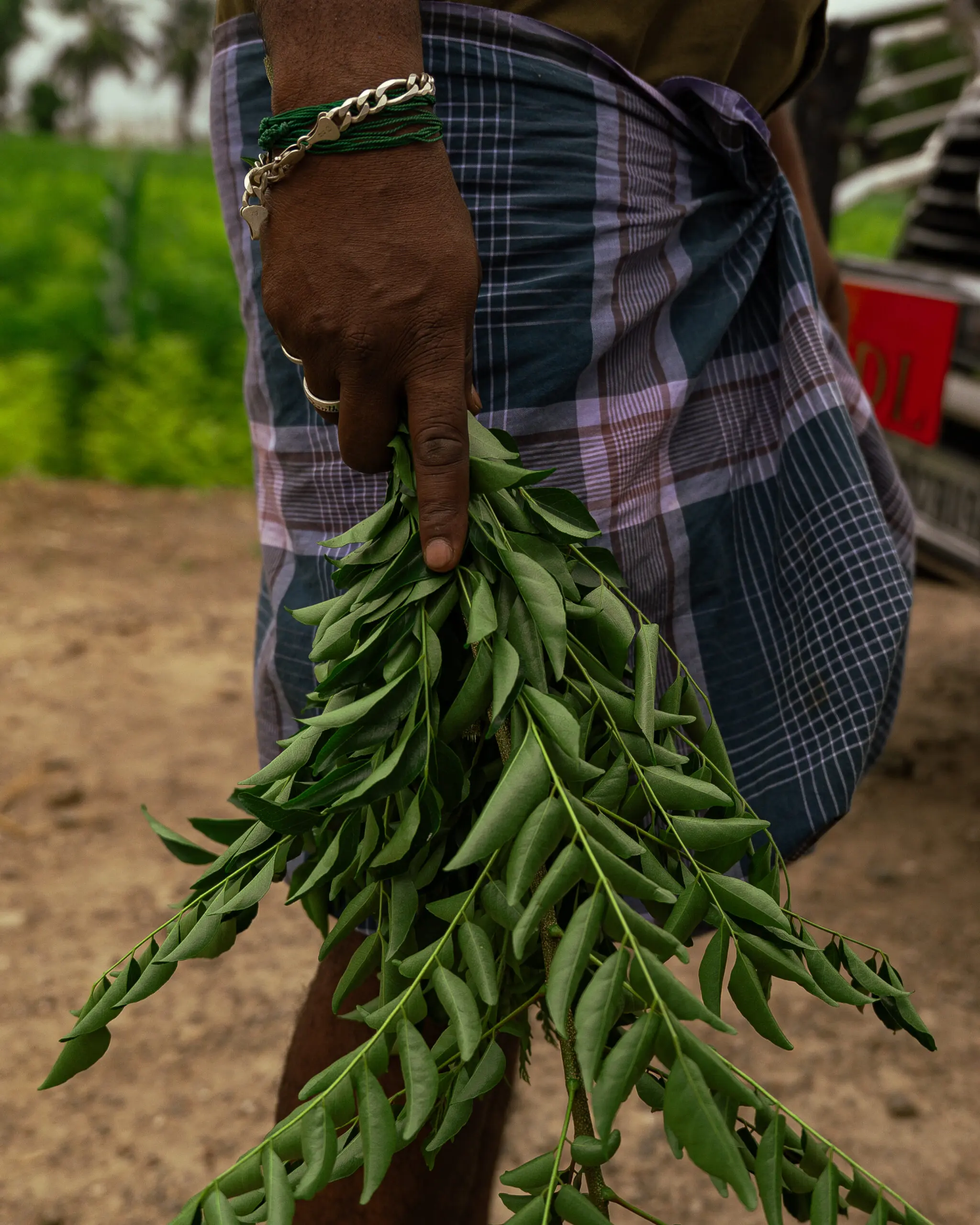DSC00572